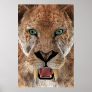 Póster Tigre de dentes Saber ou Smilodon