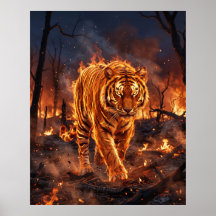 Tigre de Fogo Queimando a Solidão