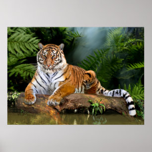 POSTER TIGRE DE JUNGLE