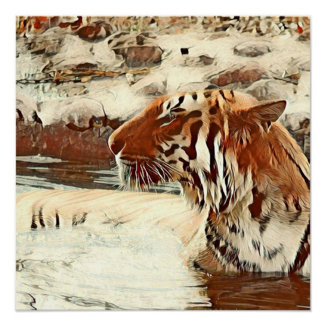 Póster tigre de natação de cor quente (Frente)