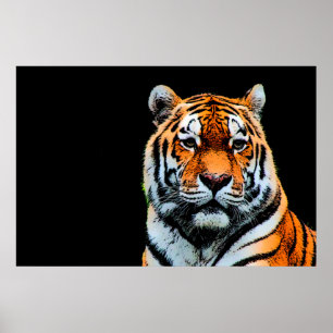 Póster Tigre de Sumatran Bornéu