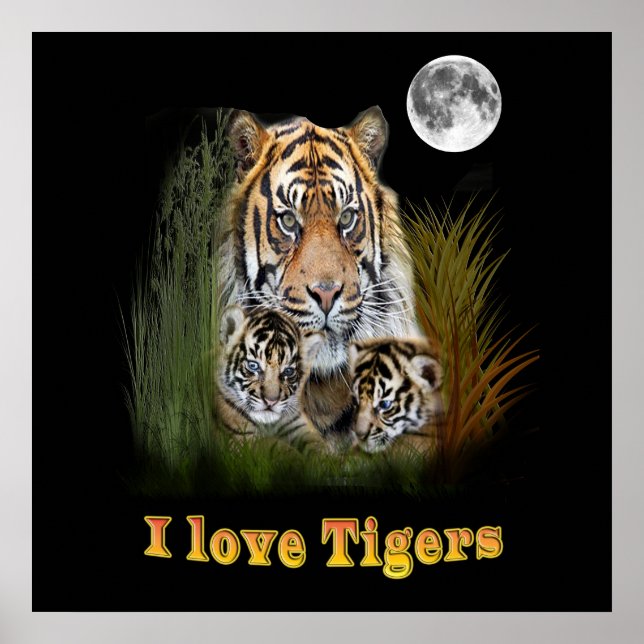 Póster Tigre e filhotes de arte (Frente)