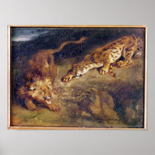 Poster Tigre e leão