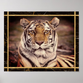 Poster Tigre Grande Felino Foto Imagem Cartaz de Impressã