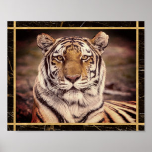 Poster Tigre Grande Felino Foto Imagem Cartaz de Impressã