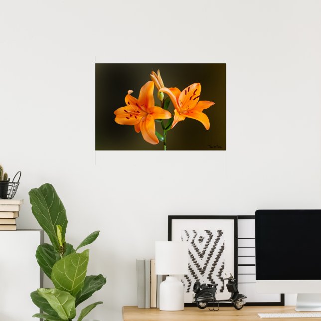 Póster Tigre Laranja Lillies e Buds Fecham Fotografia (Escritório em casa)