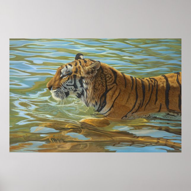 Poster Tigre Nadando Grande Pintura De Gatos (Frente)