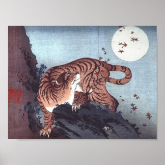 Poster Tigre pela Luz