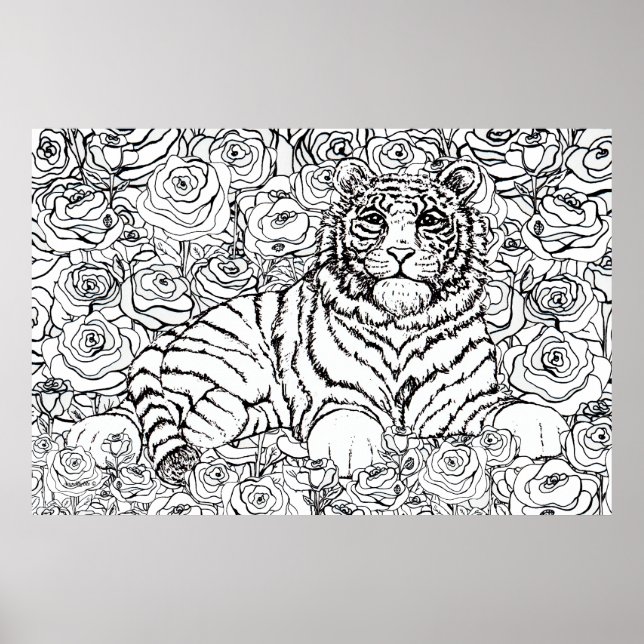 Poster Tigre Sábio (Frente)