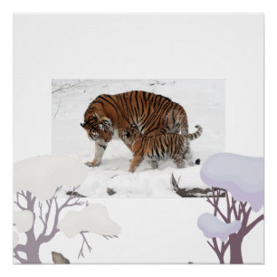 Póster Tigre siberiano na neve