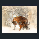 Poster tigres na neve<br><div class="desc">Mãe Tiger e criança andando na neve.</div>