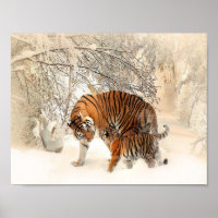 tigres na neve