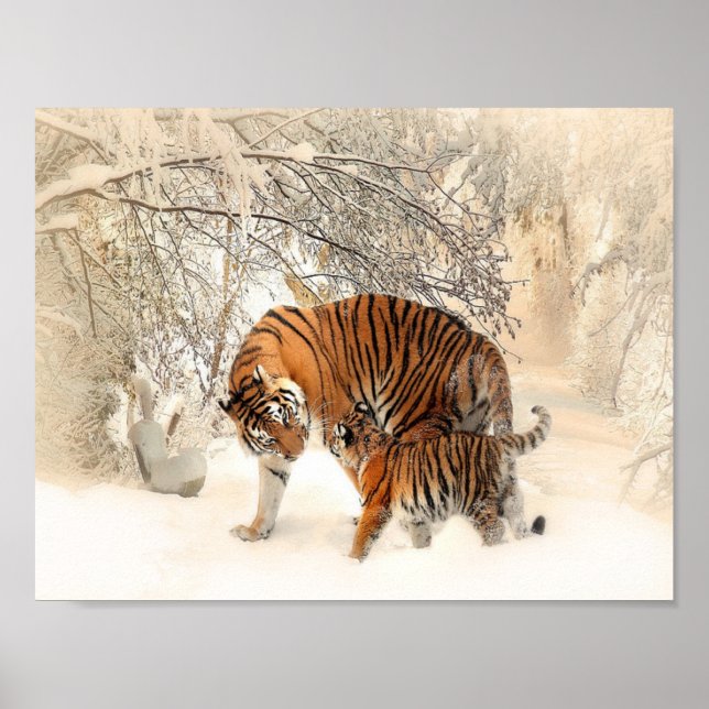 Poster tigres na neve (Frente)