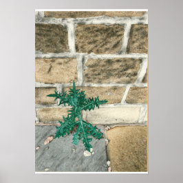 Poster Tijolo e batatas fritas