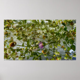 Poster Tijolo e trevo Forçados,