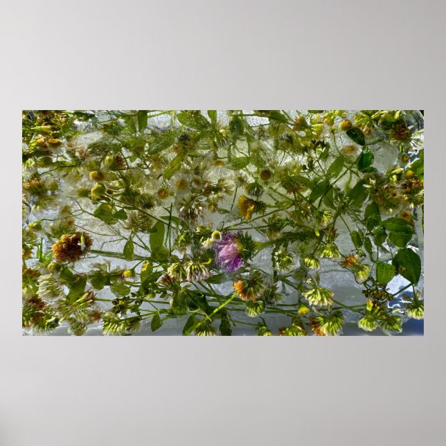 Poster Tijolo e trevo Forçados, (Frente)