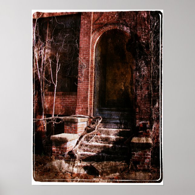 Poster Tijolo e vinha abandonados (Frente)