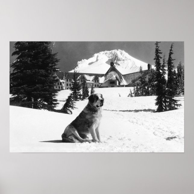 Poster Timberline Lodge e "Lady" o dono (Frente)