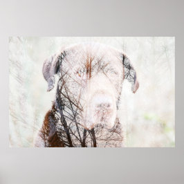 Poster Timeless Journey