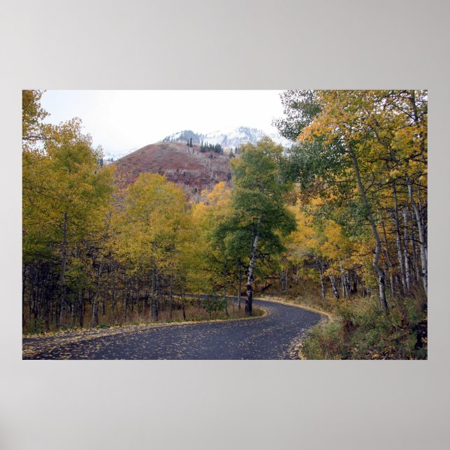 Póster Timpanogos de Monta Alpina, Utah (Frente)