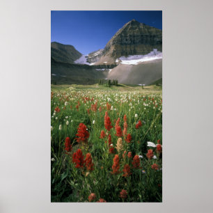 PÓSTER TIMPANOGOS DE MONTE, SENHOR, NÓS,