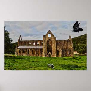 Póster Tintern Abbey Cistercian Monastery Scense Pastoral