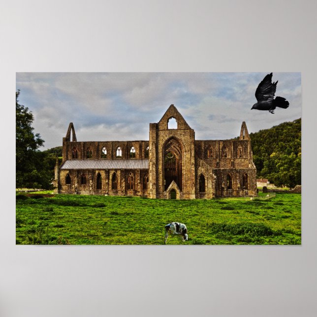 Póster Tintern Abbey Cistercian Monastery Scense Pastoral (Frente)