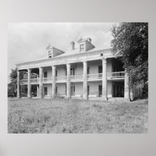 Póster Tio Sam Plantation
