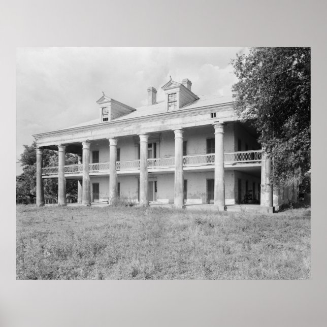 Póster Tio Sam Plantation (Frente)