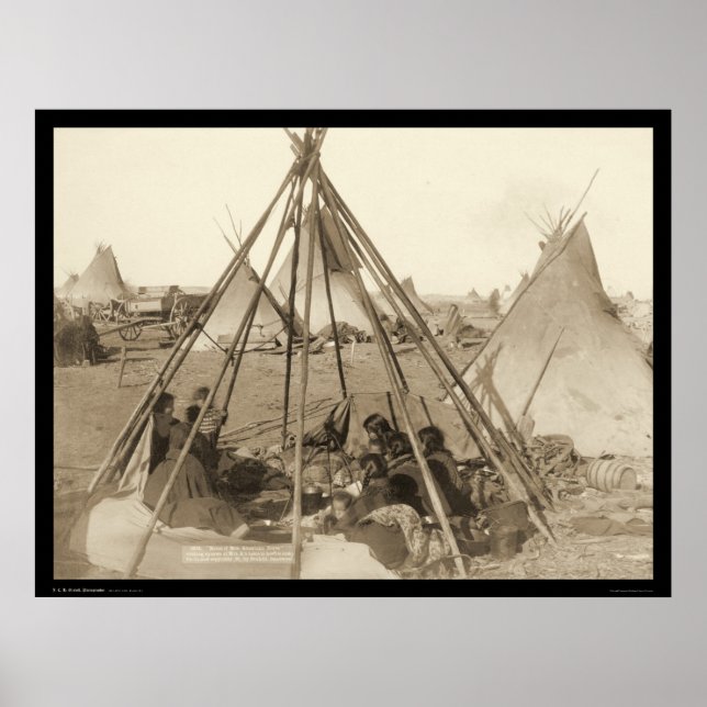 Poster Tipi da Sra. American Horse SD 1891 (Frente)