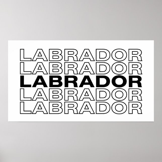 Poster Tipografia Gráfica Labrador Moderna e Negrita  (Frente)