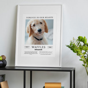 Póster Tipografia Preto Branco Cachorro Memorial Retrato 