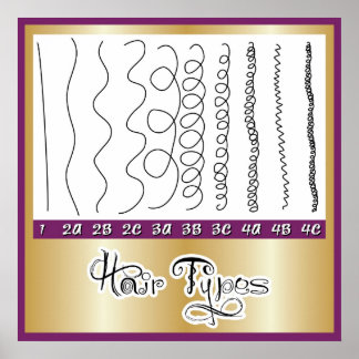 Poster Tipos de cabelo1