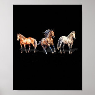 Poster Tipos de Cavalos Cavalos Invasores de Cavalos