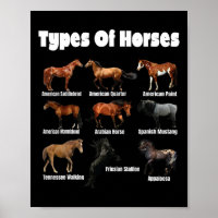 Tipos De Cavalos Retro Raça Rosas Vintage