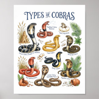 Poster Tipos de Cobras Aquarela Cobra Arte de Vida Selvag