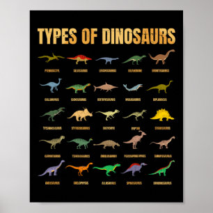 Poster Tipos De Dinossauros - Identificação Dino - Din Re