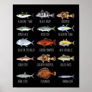 Poster Tipos De Espécies De Peixes De Água Salgada Biolog