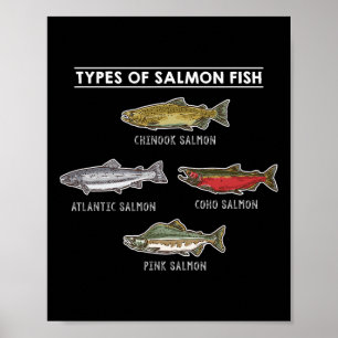 Poster Tipos De Peixes De Salmão Para A Pesca Do Salmão