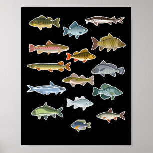 Poster Tipos de Pesca de Peixes de Água Doce