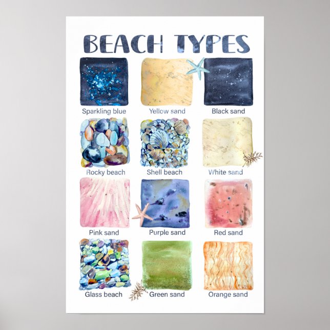 Poster Tipos de praias educacionais (Frente)