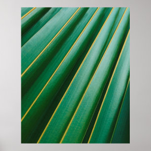 Poster Tiras de plantas de textura verde
