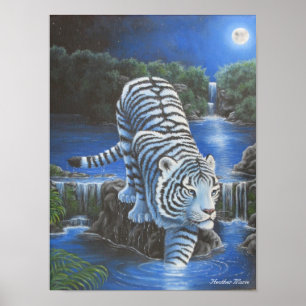 Póster Tirger branco