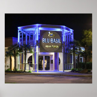 Poster Tiro noturno do Blu Basil