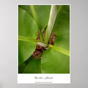 Póster Tiros de Tensão