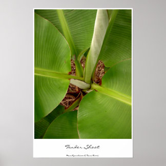 Póster Tiros de Tensão