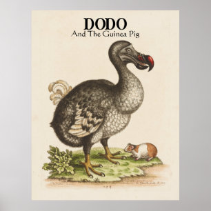 Poster Título Personalizado e Subtítulo Dodo e Guiné Pig