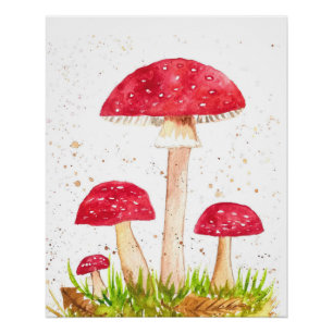 Póster Toadool Mushroom Floresta aquarela Vermelha Nature