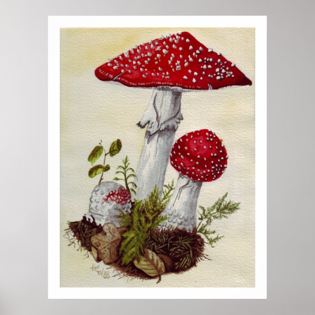 Poster Toadstool (Frente)