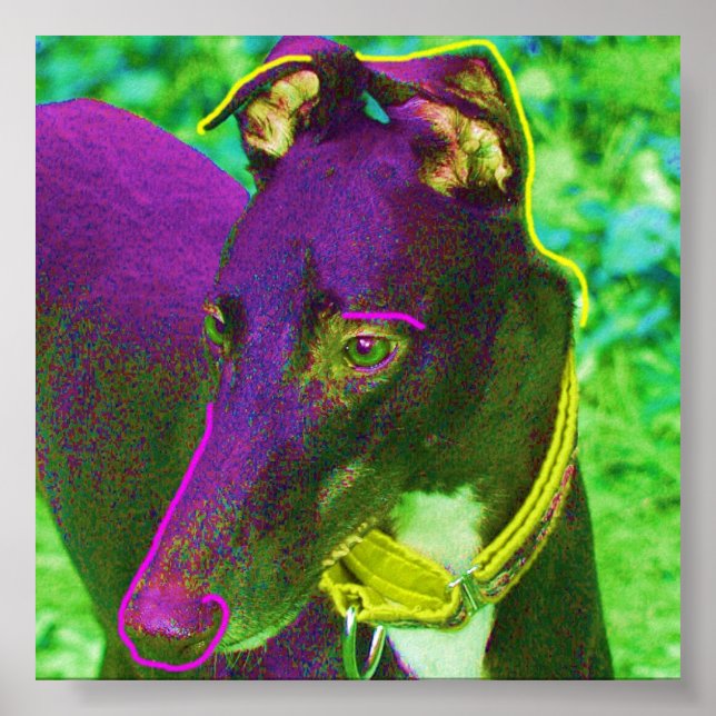 Poster Tobey (Frente)